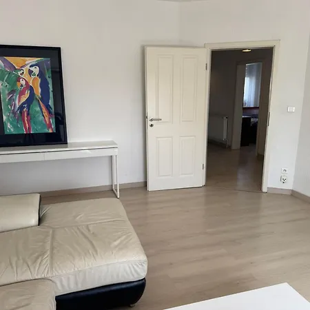 3 Avec Salon Et Terrasse * Wittenheim