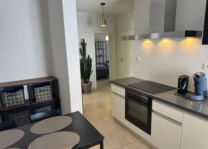 F4 Meuble Lägenhet Wittenheim